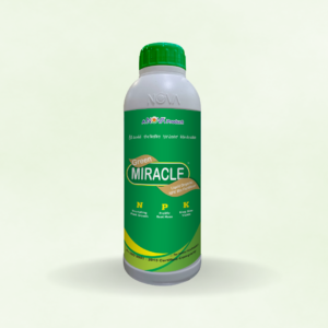 Green Miracle