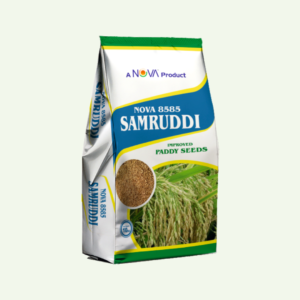 Nova-8585 (Samruddi)