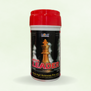 Nova Leader (Thiamethoxam 75% SG)