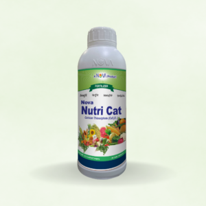 Nova Nutri Ca-t (Calcium Thiosulphate Ca S O (Ca-6%, S-10%)