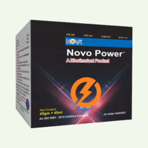 Novo Power