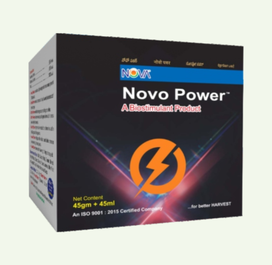 Novo Power