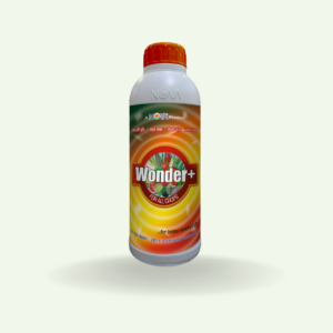 Wonder Plus