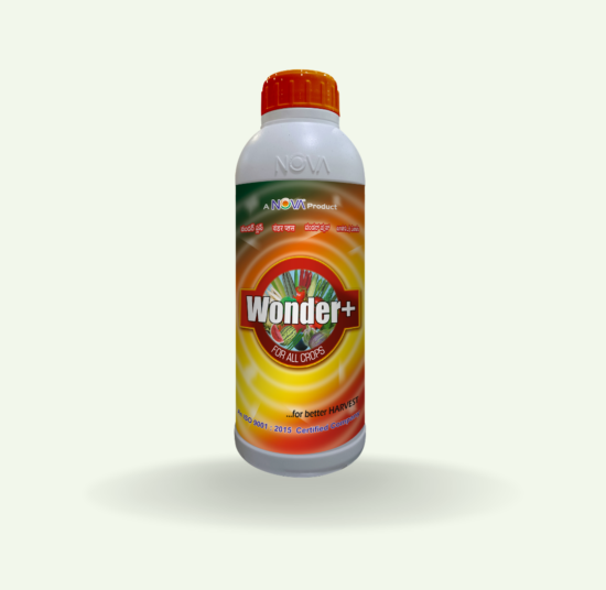 Wonder Plus