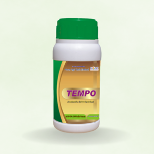 Tempo