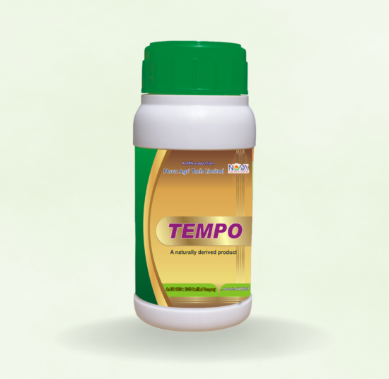 Tempo